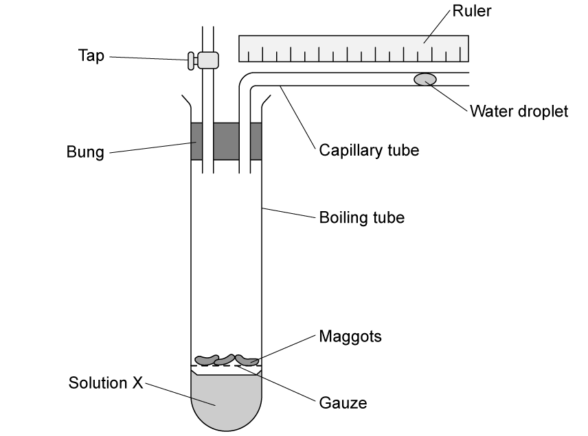 biology-2-7-q2a-sq-ib-hl