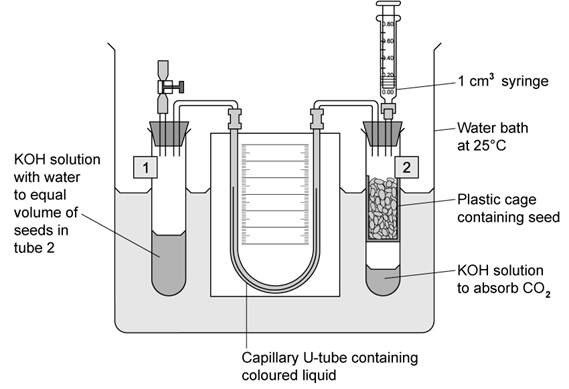 biology-2-7-q3a-sq-ib-hl