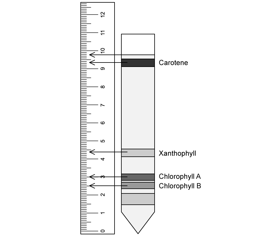 biology-2-8-q3a-sq-ib-hl