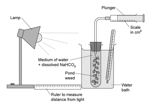 biology-2-8-q4b-sq-ib-hl