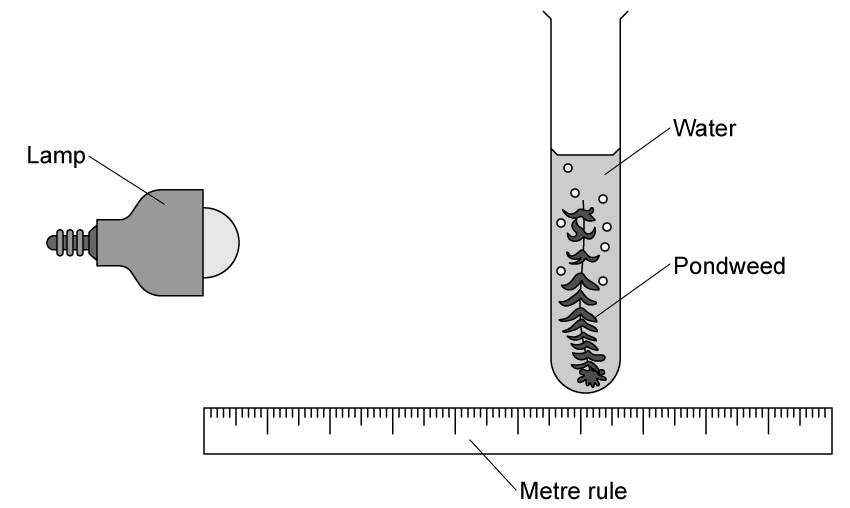 biology-2-8-q7-ib-hl