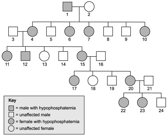 biology-3-3-q2a-ib-hl-sq