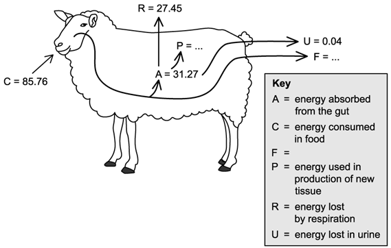 biology-q1a-4-1-sq-ib-hl