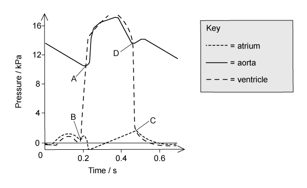 cie-diagram-4