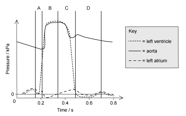 cie-diagram-6