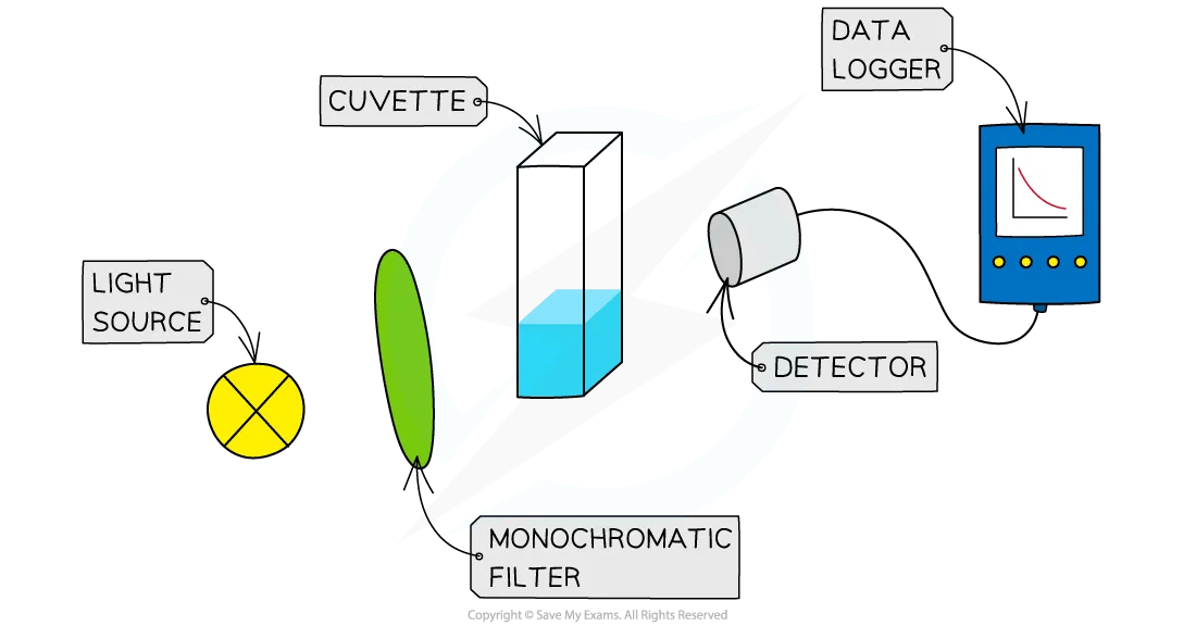 Light passes through a monochromatic filter into the sample in a cuvette. Any light not absorbed passes into a detector