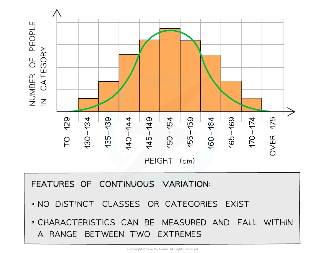 Graph showing that height can be measured on a scale, so this is continuous variation