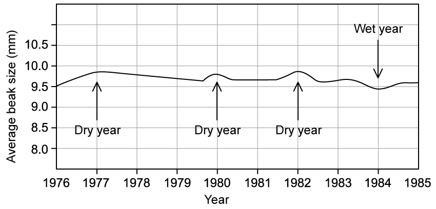 dOlrvi6g_3