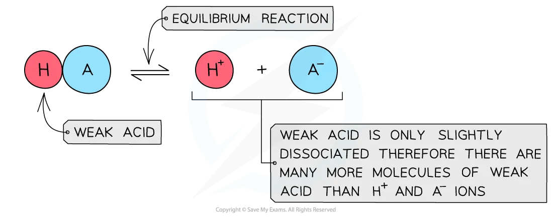 Diagram showing how weak acids partially dissociate