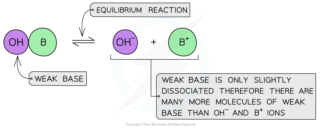 Diagram showing how weak bases partially dissociate