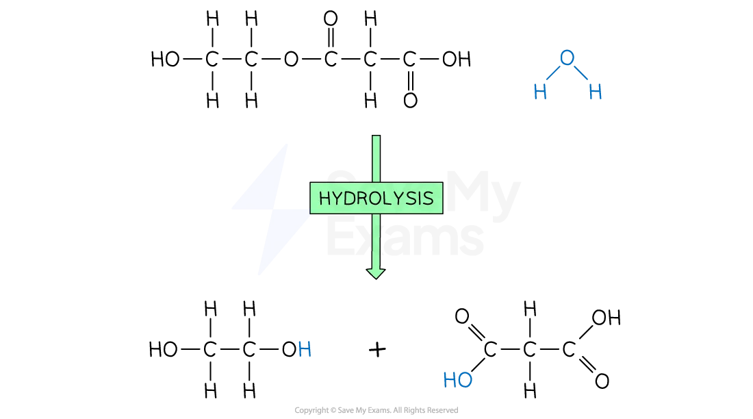 Diagram to show the hydrolysis of condensation polymers