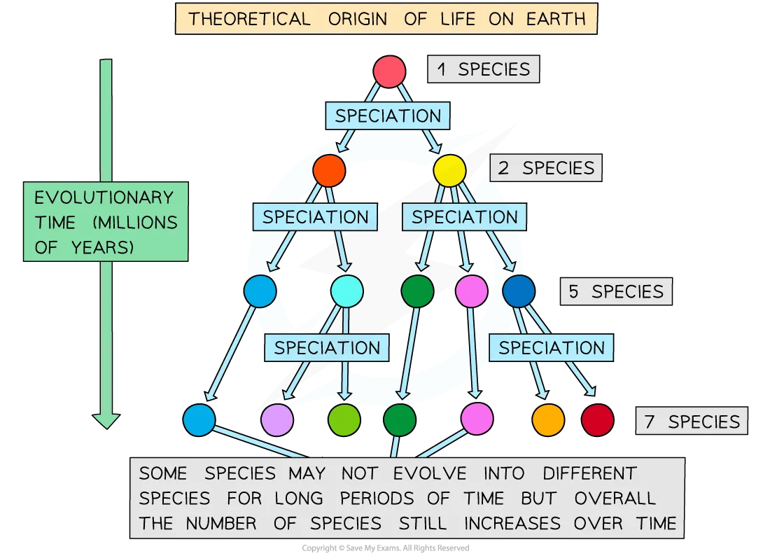 diversity-of-species-speciation-evolution