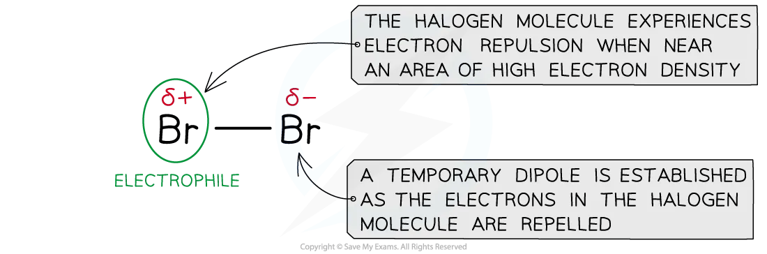 Diagram showing how halogens have temporary dipoles and, therefore, can act as electrophiles