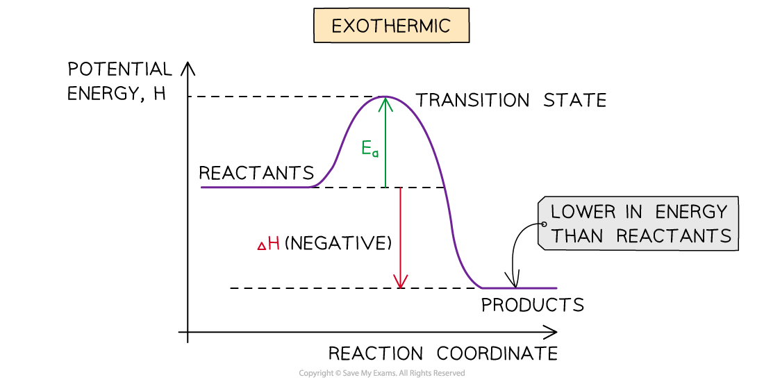 energy-profile-exothermic