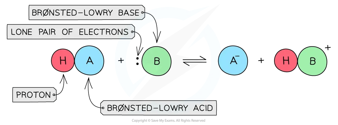 Equilibrium of a Brønsted-Lowry acid and base