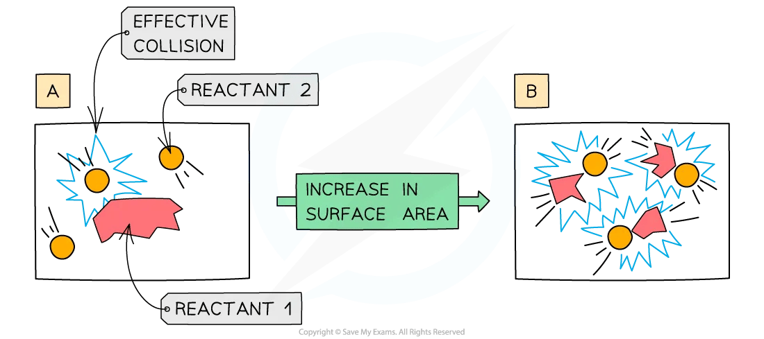 A larger surface area results in an increased rate of reaction