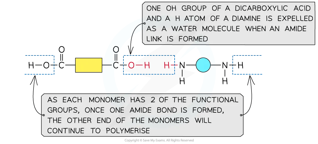 Diagram showing the formation of polyamides