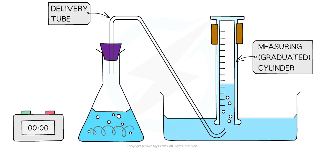 Gas formed goes from the conical flask through a tube to pass through a trough of water, underneath an inverted cylinder