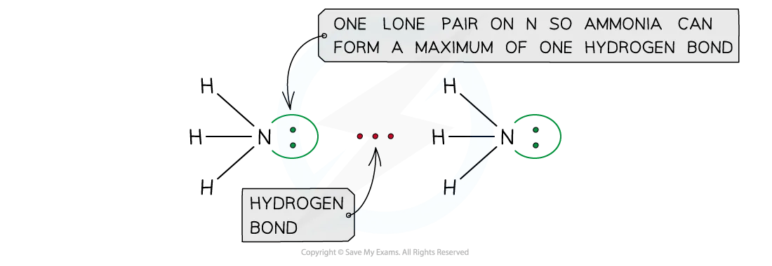 hydrogen bonding in ammonia