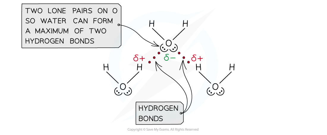 hydrogen bonding in water