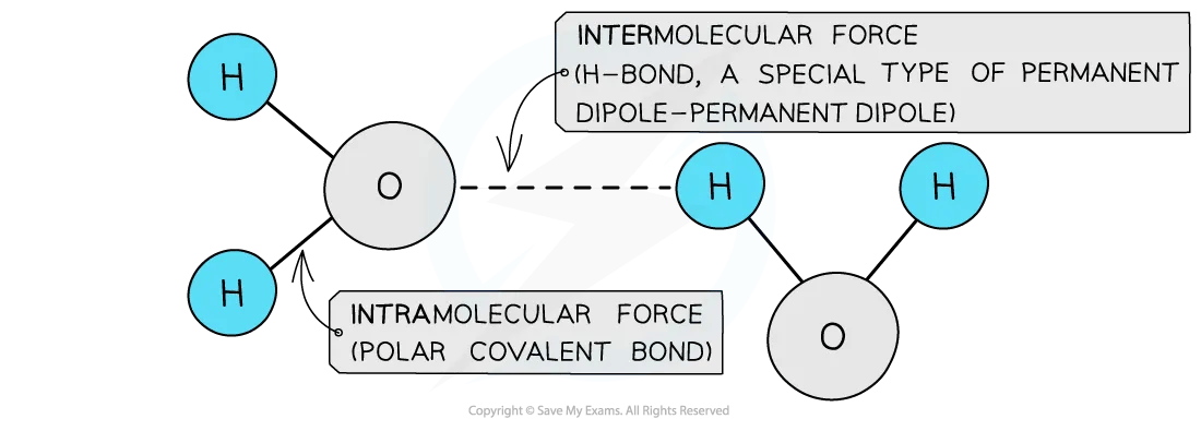 difference between intermolecular and intramolecular