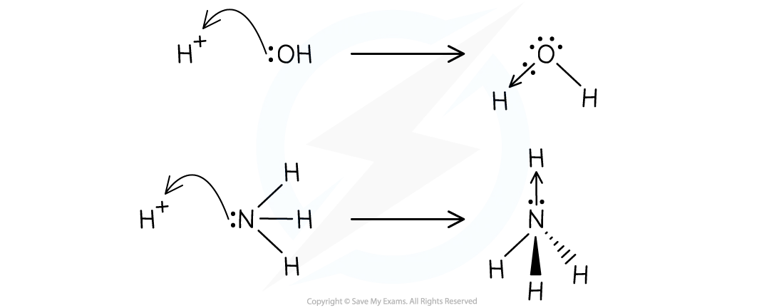 Hydroxide ion and ammonia acting as Lewis bases