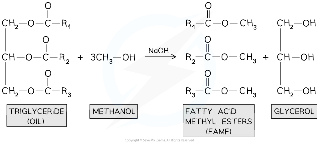 Equation using structural formulae to show the conversion of triglycerides into biodiesel