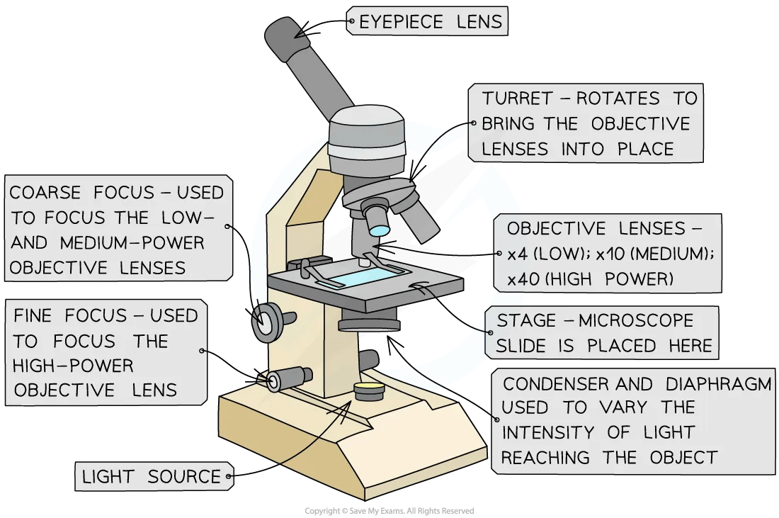 microscope-diagram