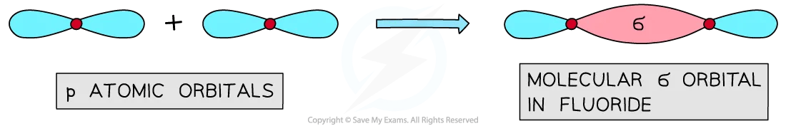 2 dumbbell shaped p orbitals overlap to form a molecular sigma orbital in fluorine