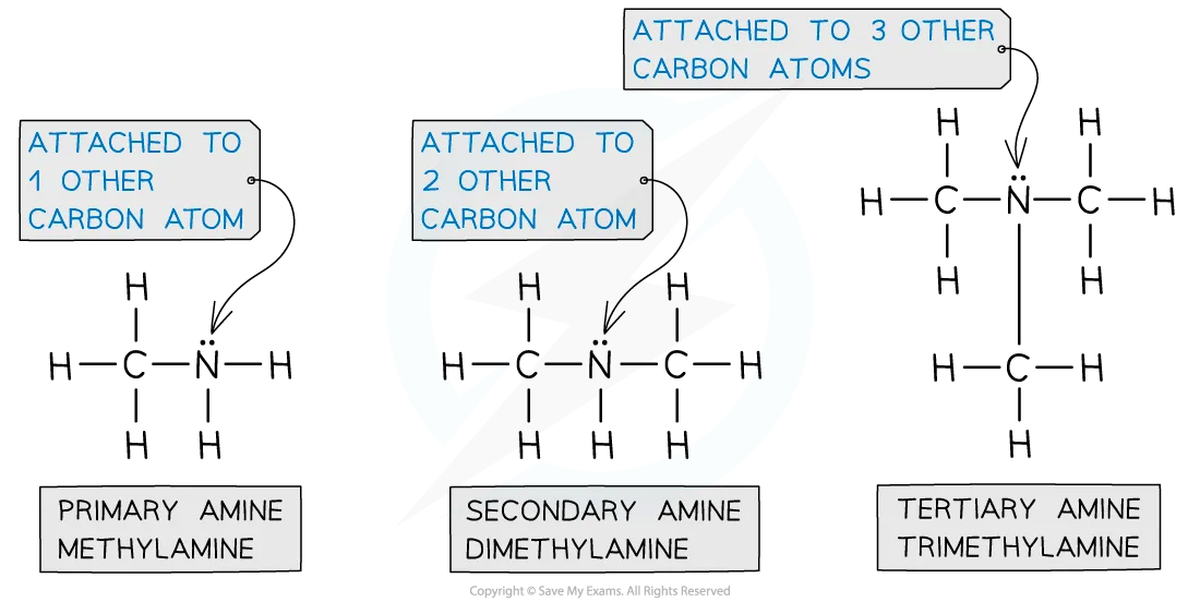 Diagram showing examples of primary, secondary and tertiary amines