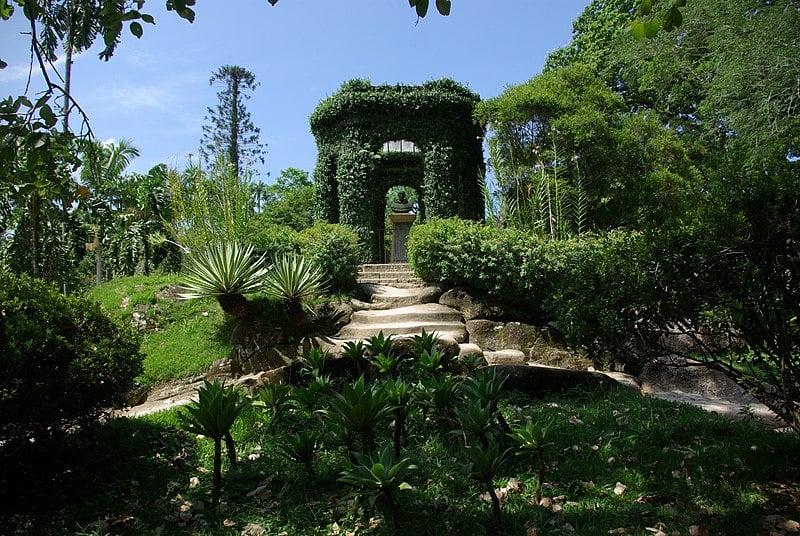 Photograph of the botanic garden in Rio de Janeiro, Brazil