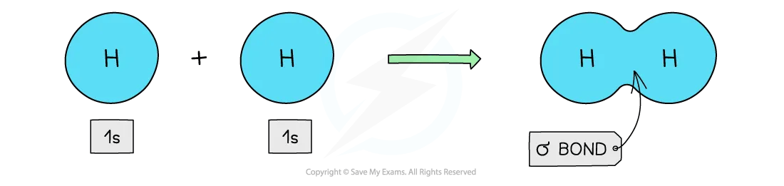 The 1s orbital of each hydrogen combine to form a sigma bond