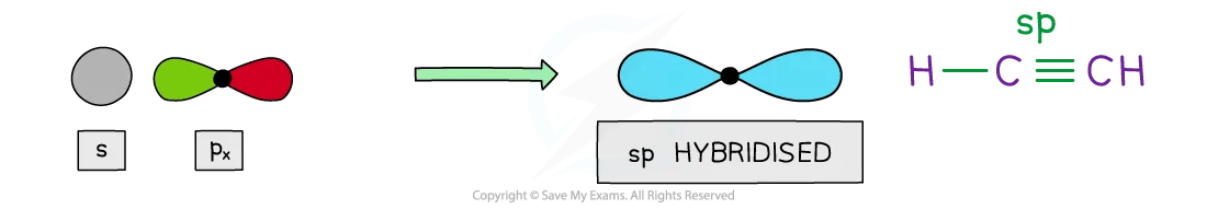 One s orbital and one p orbital combine to form two sp hybridised orbitals