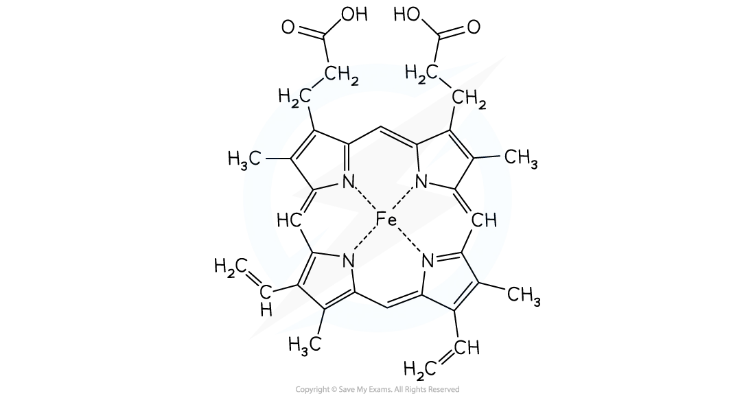 The structure of a haem unit showing how iron is bonded into the structure