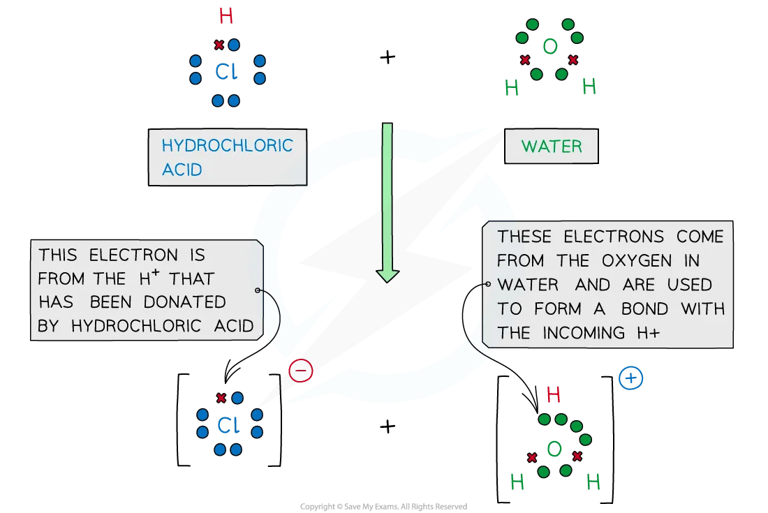 The Lewis diagram for the reaction of water and HCl