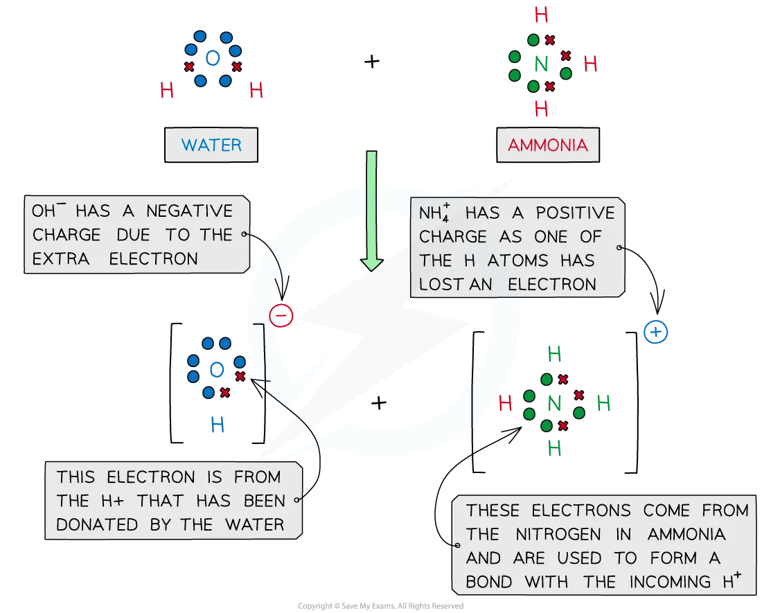 The Lewis diagram for the reaction of water with ammonia