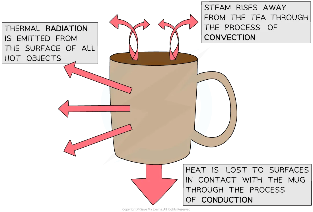 Thermal Energy Transfers in a Mug of Tea, for IB Physics Revision Notes