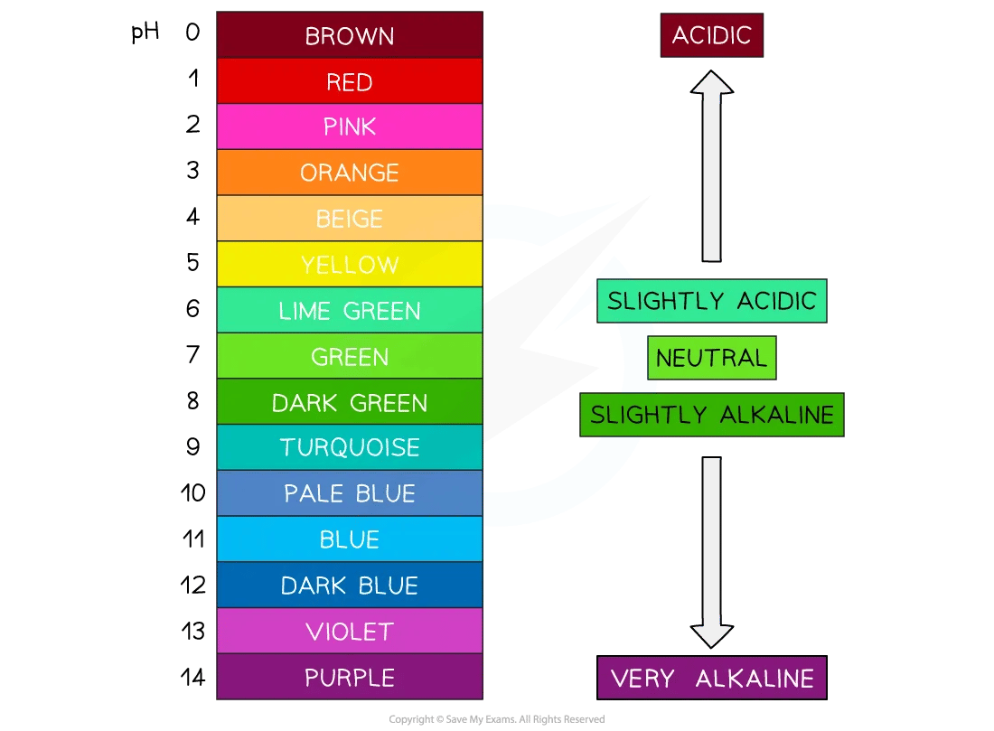 Each colour that universal indicator can change to indicates a different pH value