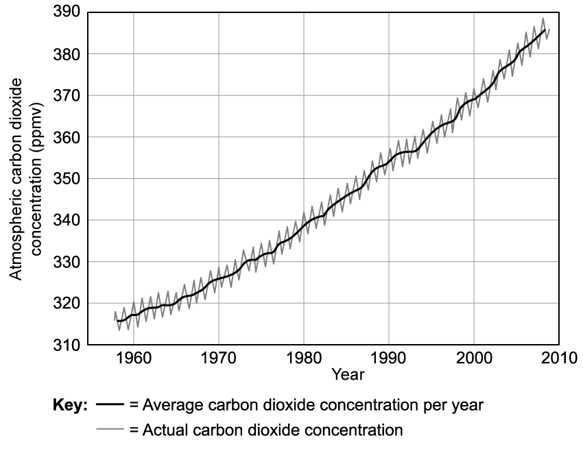 wx0jijoF_1