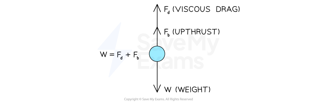 1-2-10-viscous-drag-force-ib-2025-physics