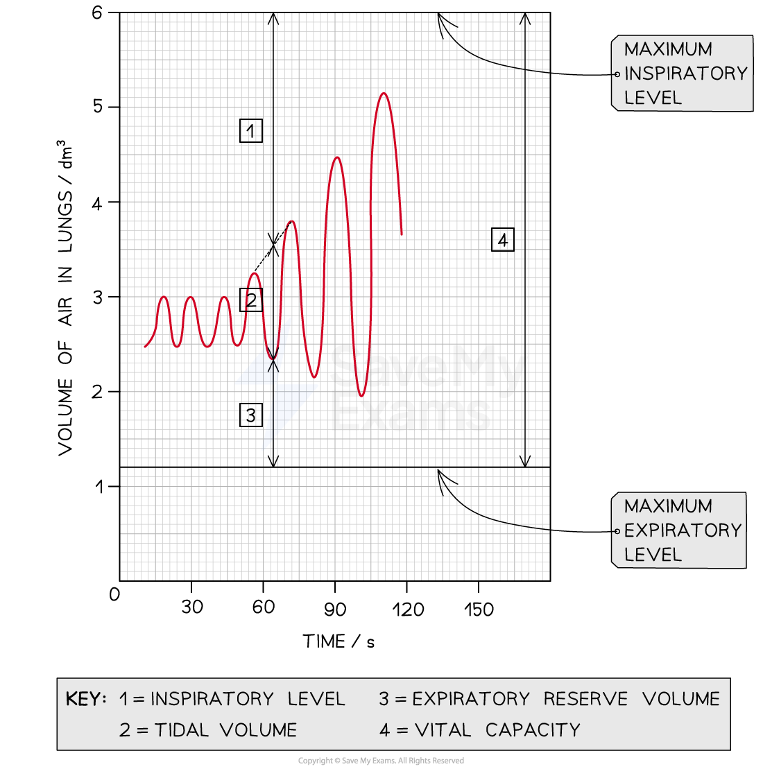 EEEtp5AB_measuring-lung-volumes