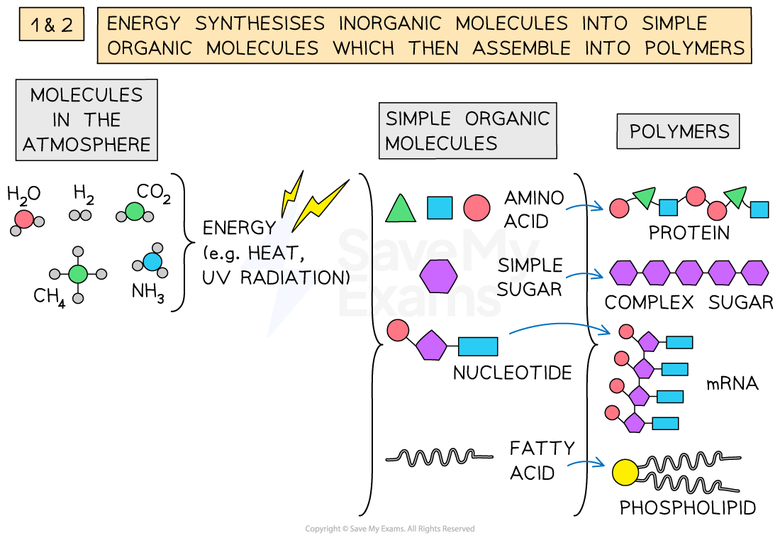 a2-1-1-origin-of-carbon-compounds-1