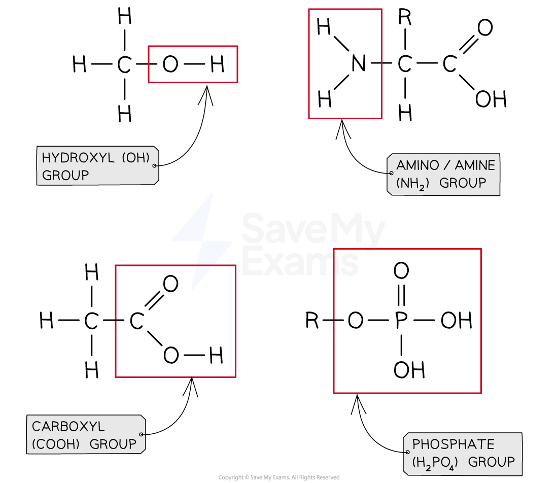 Some examples of functional groups