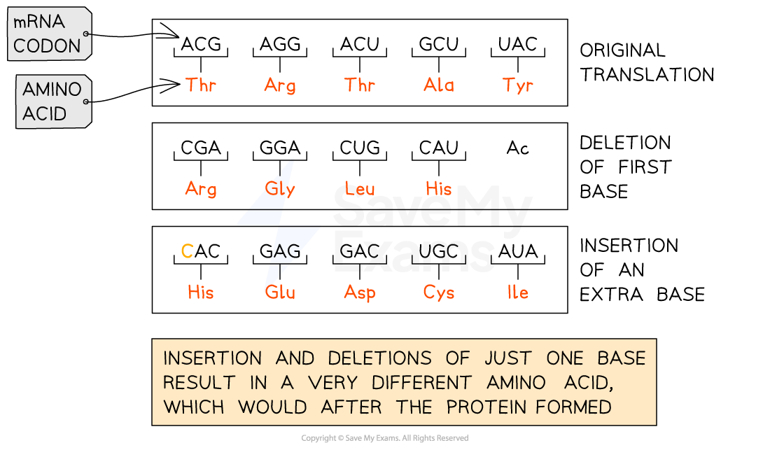 consequences-of-insertions-and-deletions