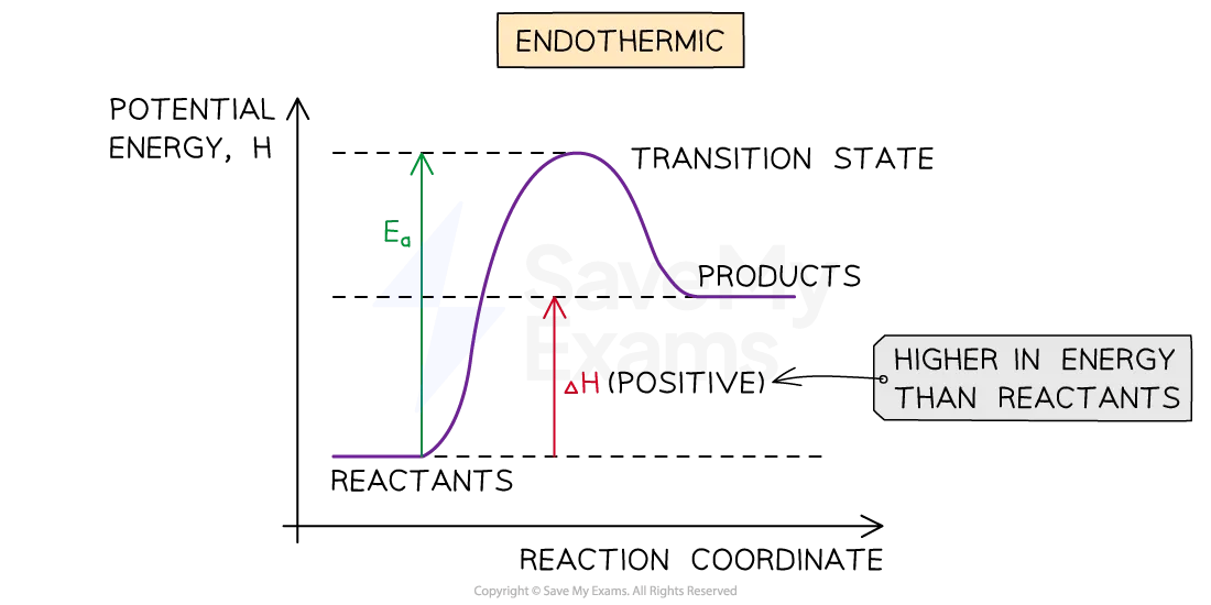 The energy profile of an endothermic reaction shows the energy level of the reactants lower than the products