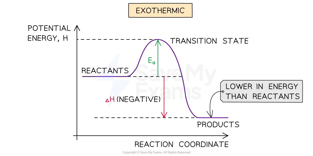 The energy profile of an exothermic reaction shows the energy level of the reactants higher than the products