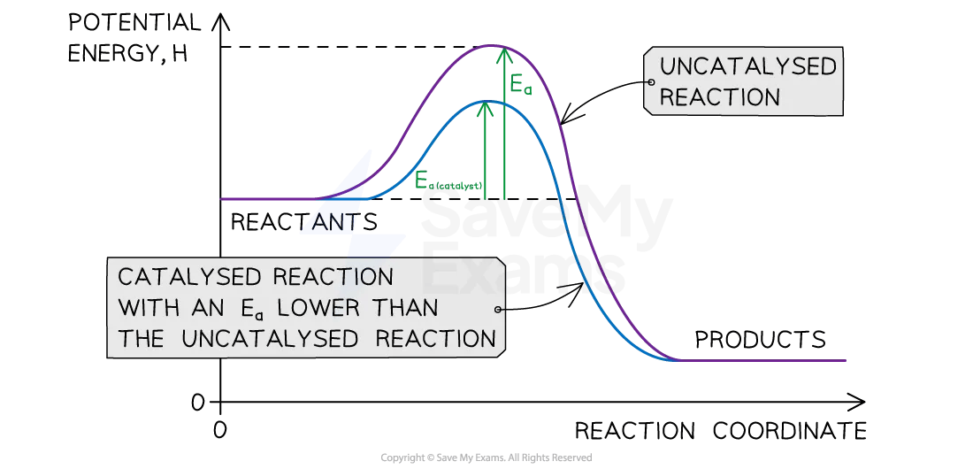 The energy profile of the uncatalysed reaction peaks at a higher energy than the catalysed energy profile