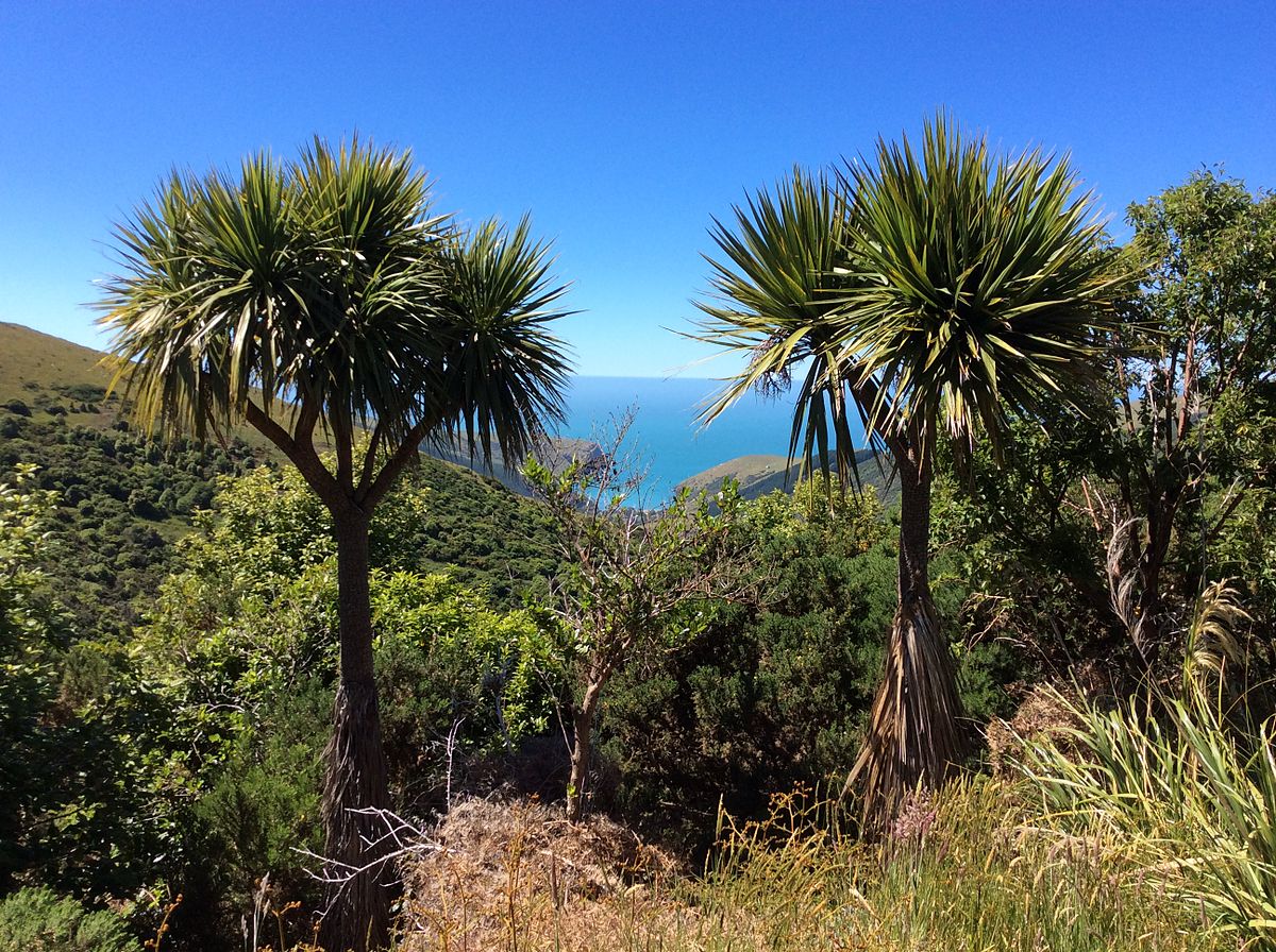 hinewai-reserve-rewilding-photo