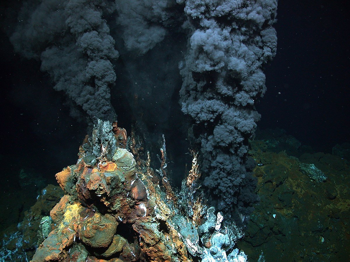 hydrothermal-vent-chemoautotroph-photo