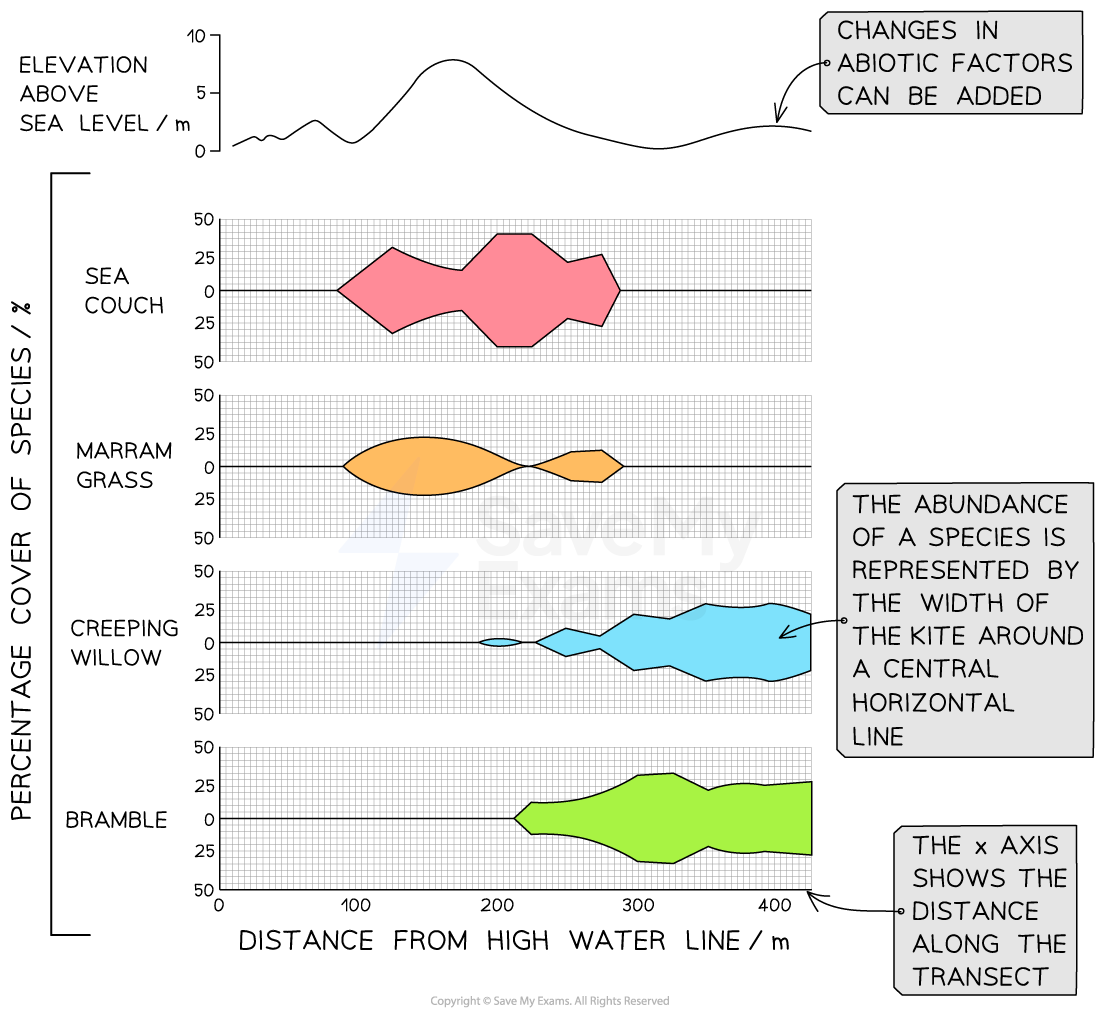 kite-diagram-transect-data